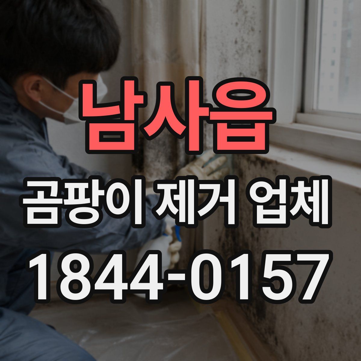 남사읍 곰팡이 제거 업체