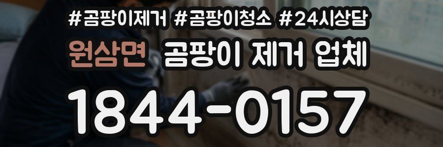원삼면 곰팡이 제거 업체