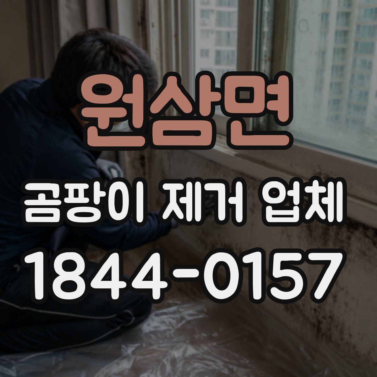 원삼면 곰팡이 제거 업체