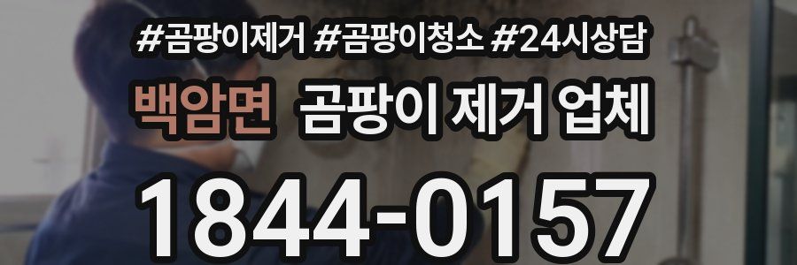 백암면 곰팡이 제거 업체