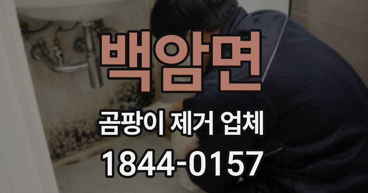 백암면 곰팡이 제거 업체