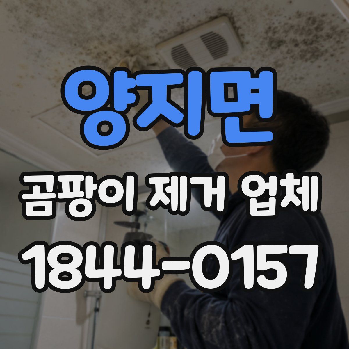 양지면 곰팡이 제거 업체
