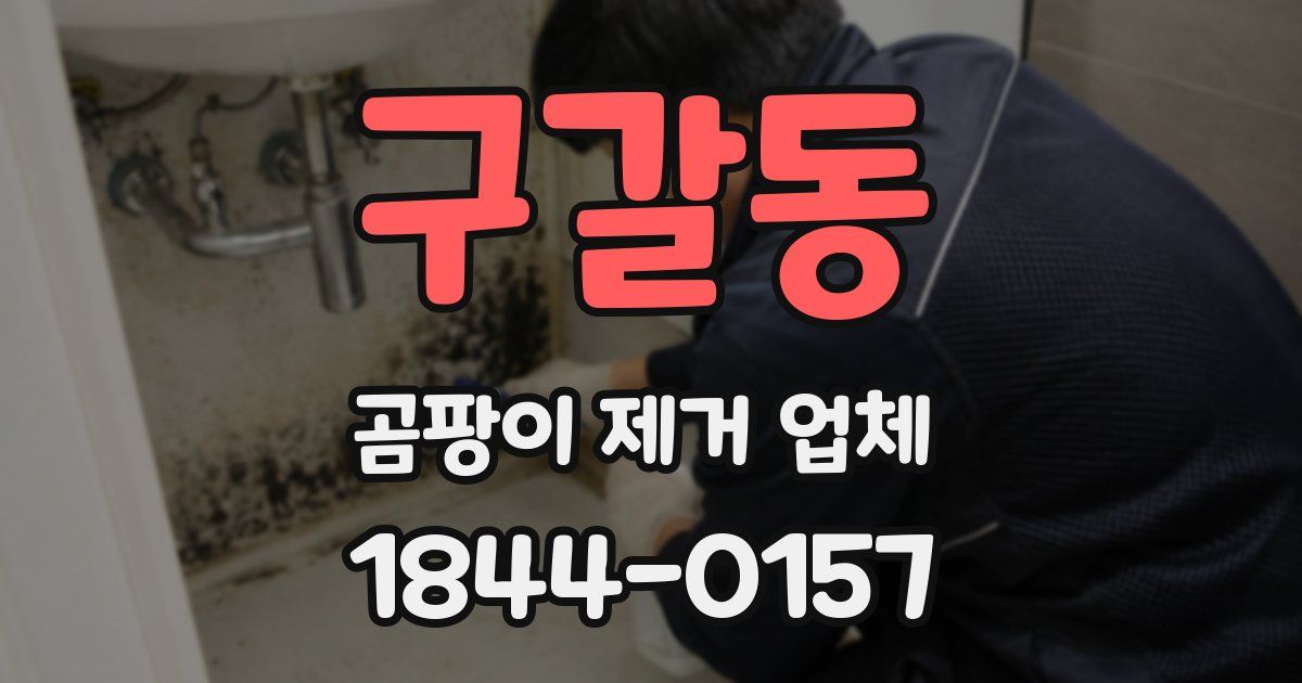 구갈동 곰팡이 제거 업체