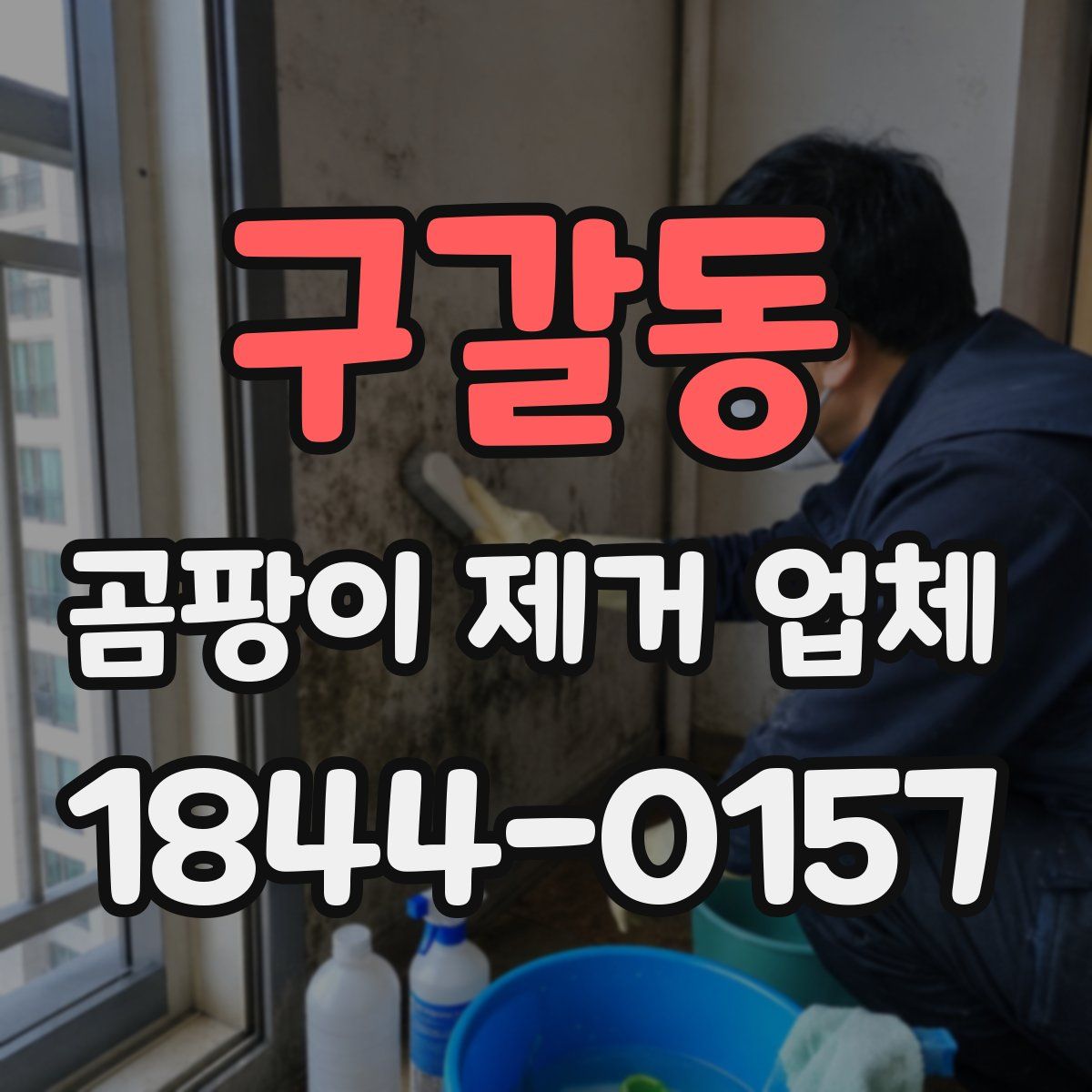 구갈동 곰팡이 제거 업체
