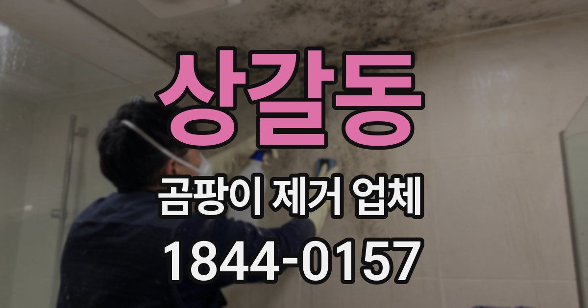 상갈동 곰팡이 제거 업체