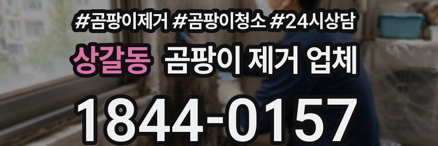 상갈동 곰팡이 제거 업체