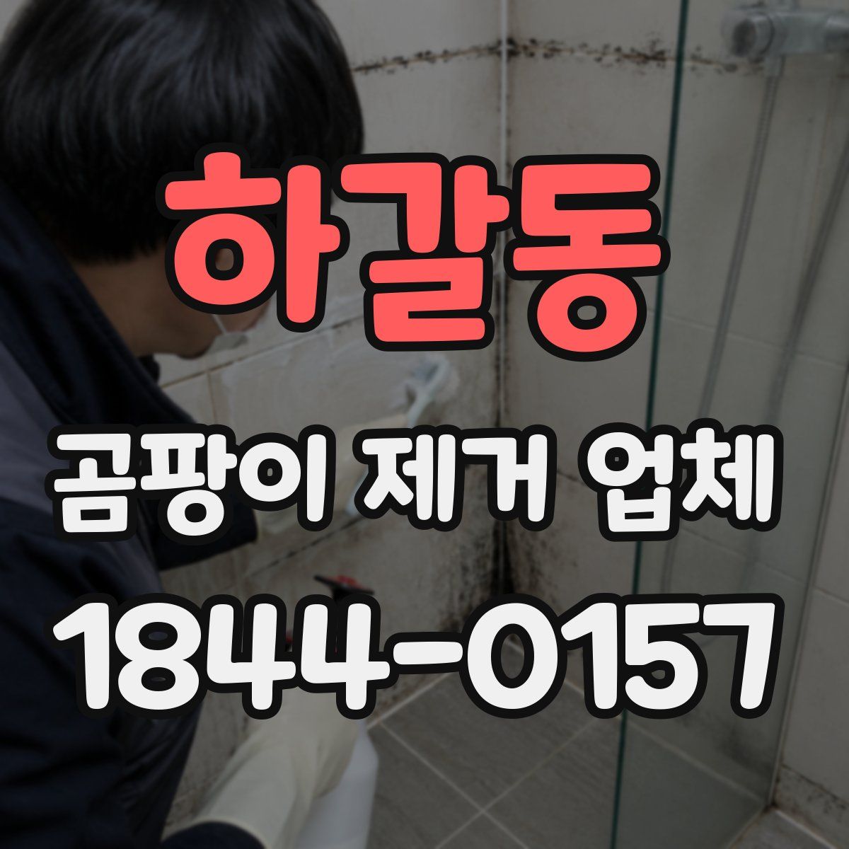 하갈동 곰팡이 제거 업체