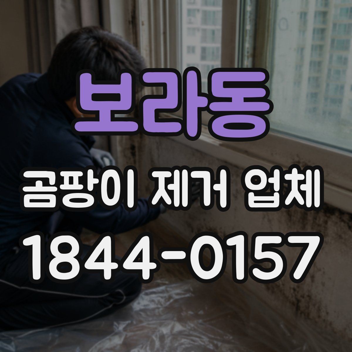 보라동 곰팡이 제거 업체 손상된 자재를 고려한 안전한 작업 기준