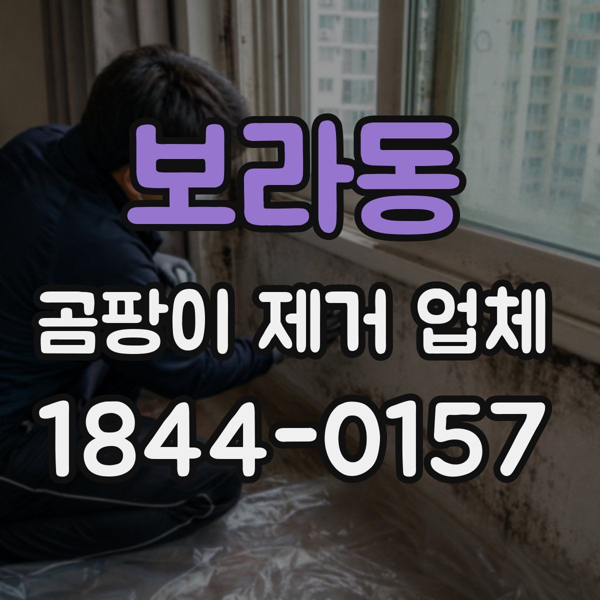 보라동 곰팡이 제거 업체