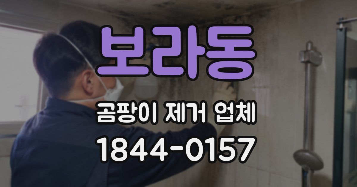 보라동 곰팡이 제거 업체