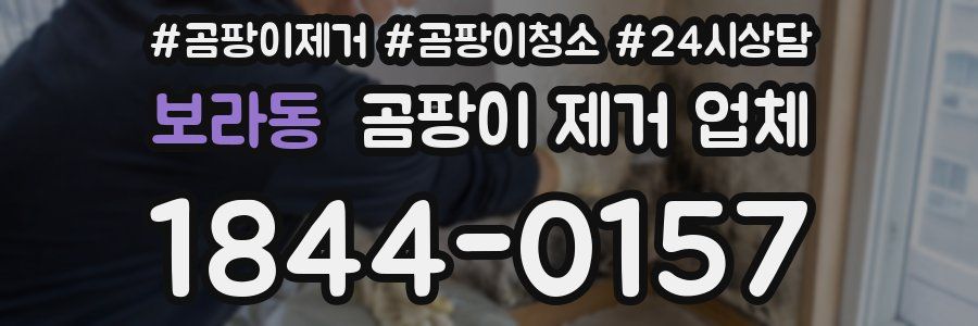 보라동 곰팡이 제거 업체