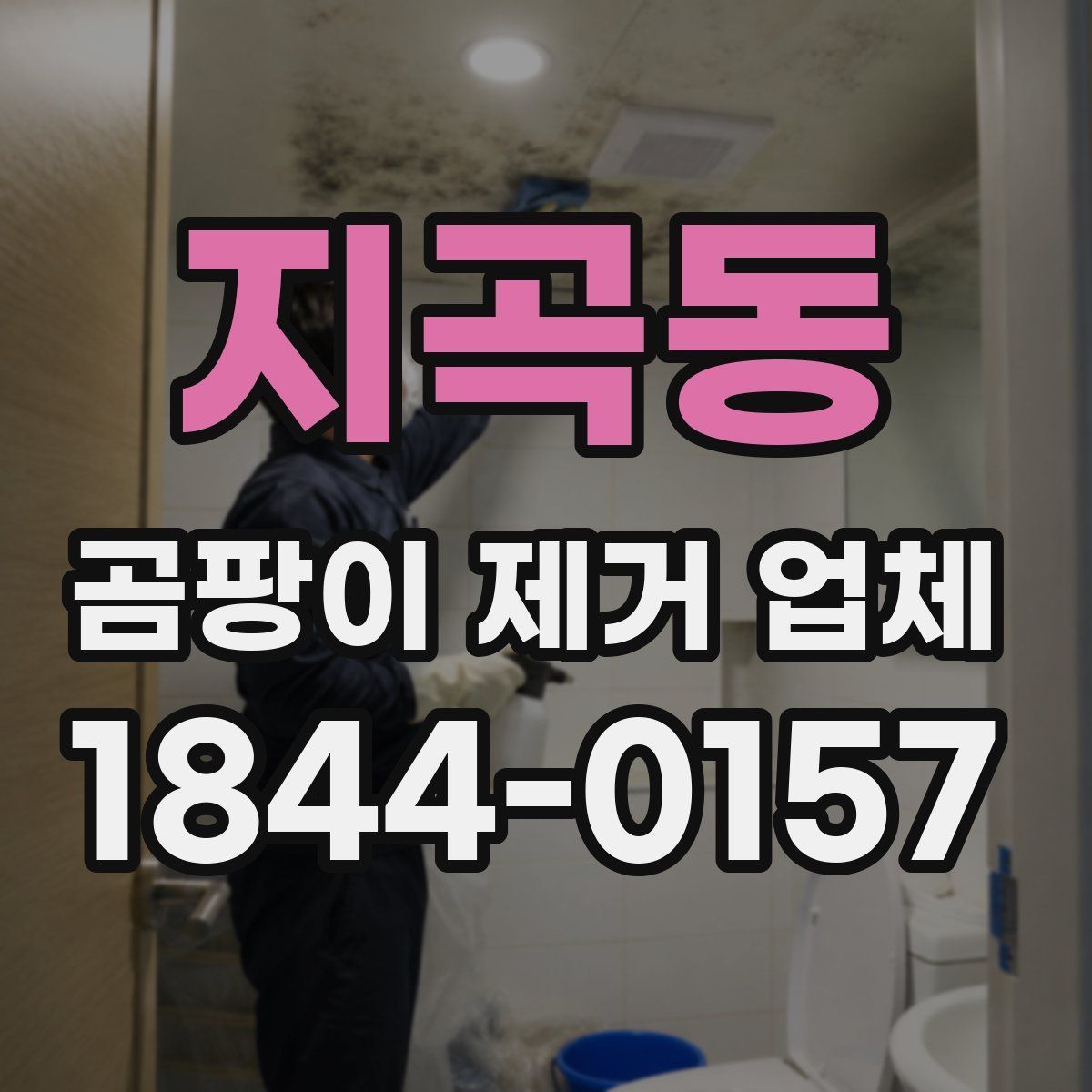 지곡동 곰팡이 제거 업체