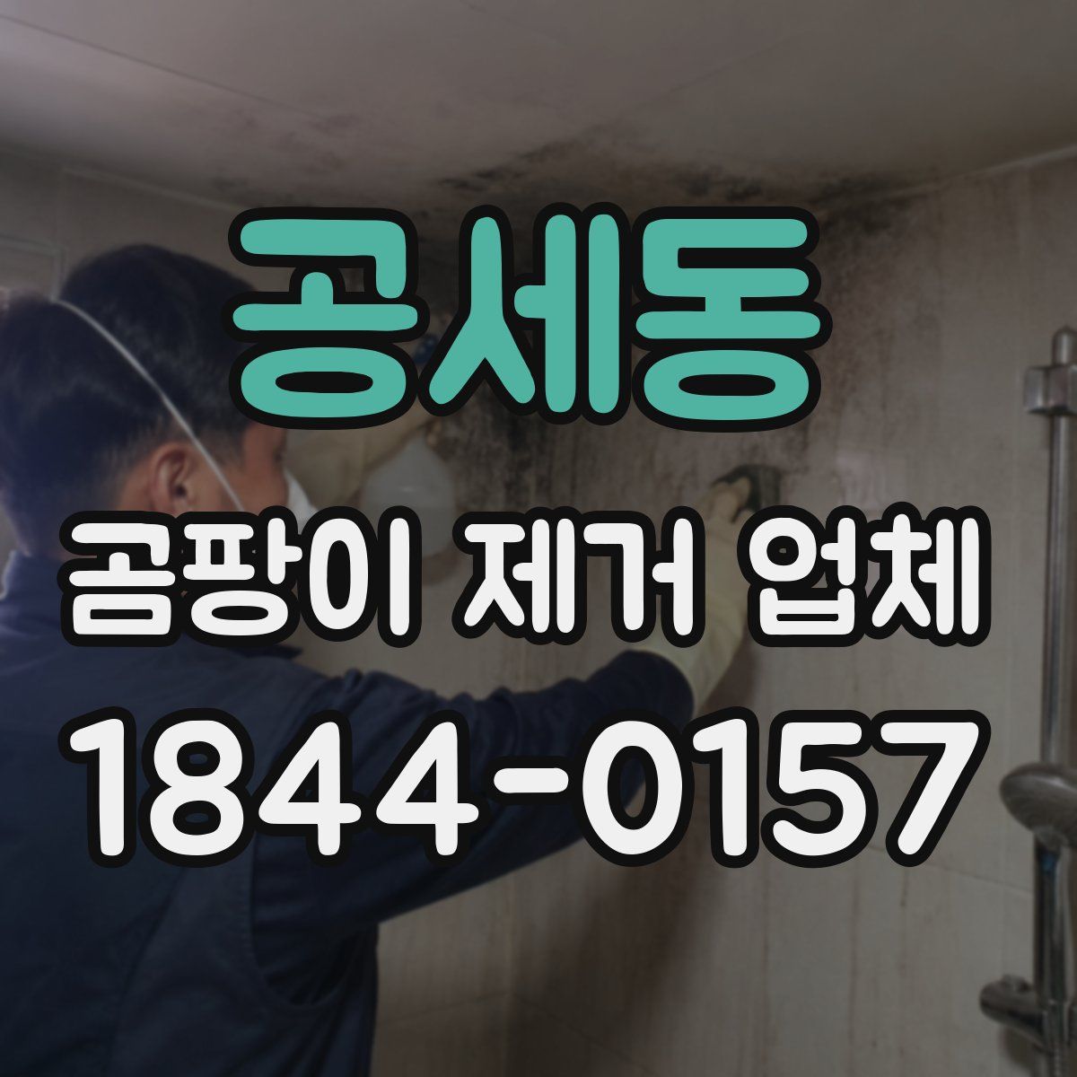공세동 곰팡이 제거 업체
