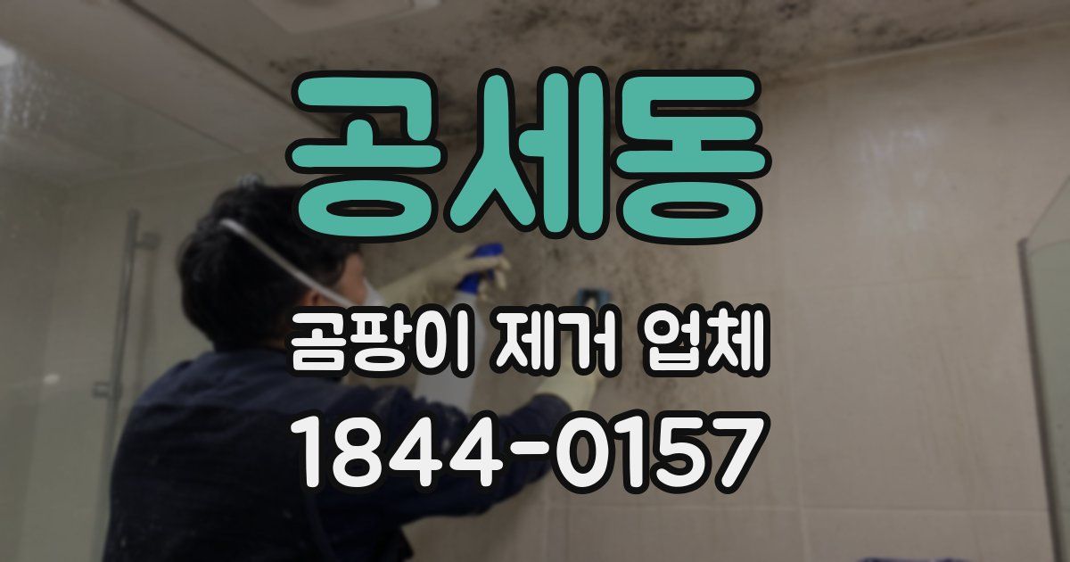 공세동 곰팡이 제거 업체