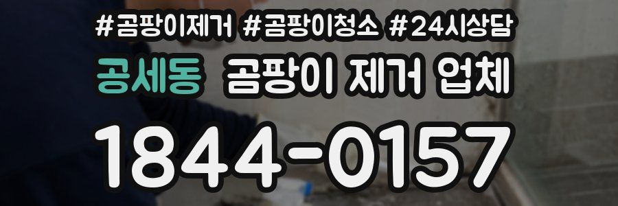 공세동 곰팡이 제거 업체