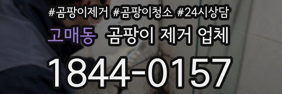 고매동 곰팡이 제거 업체