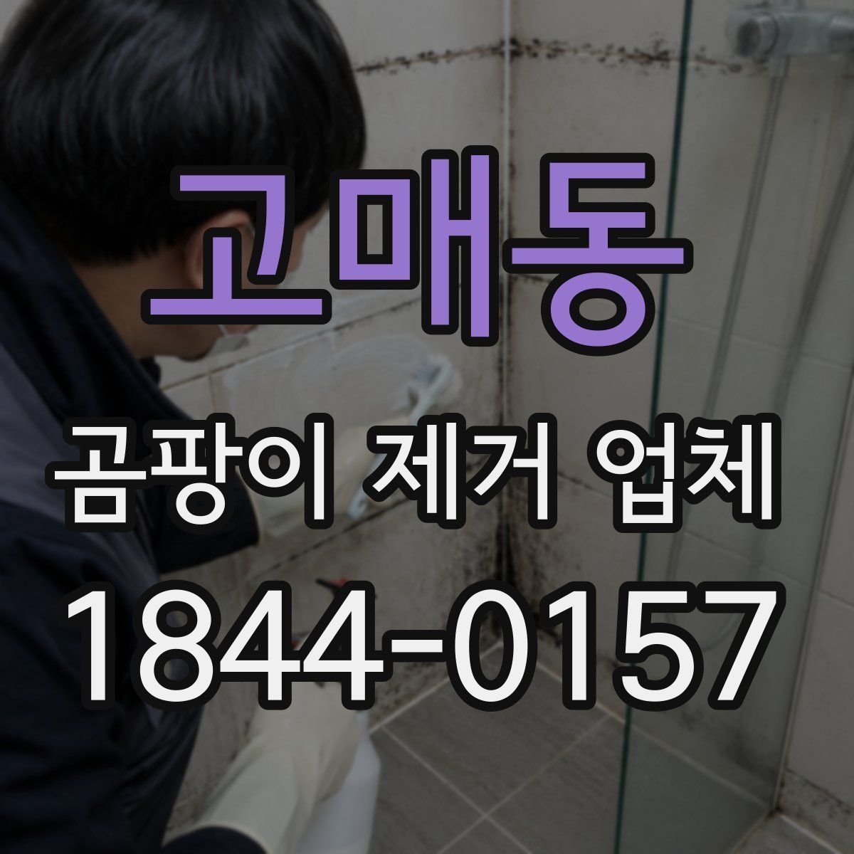 고매동 곰팡이 제거 업체