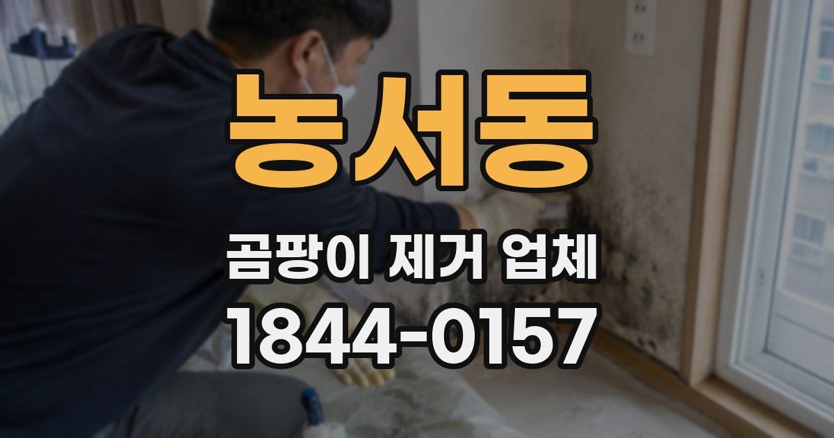 농서동 곰팡이 제거 업체