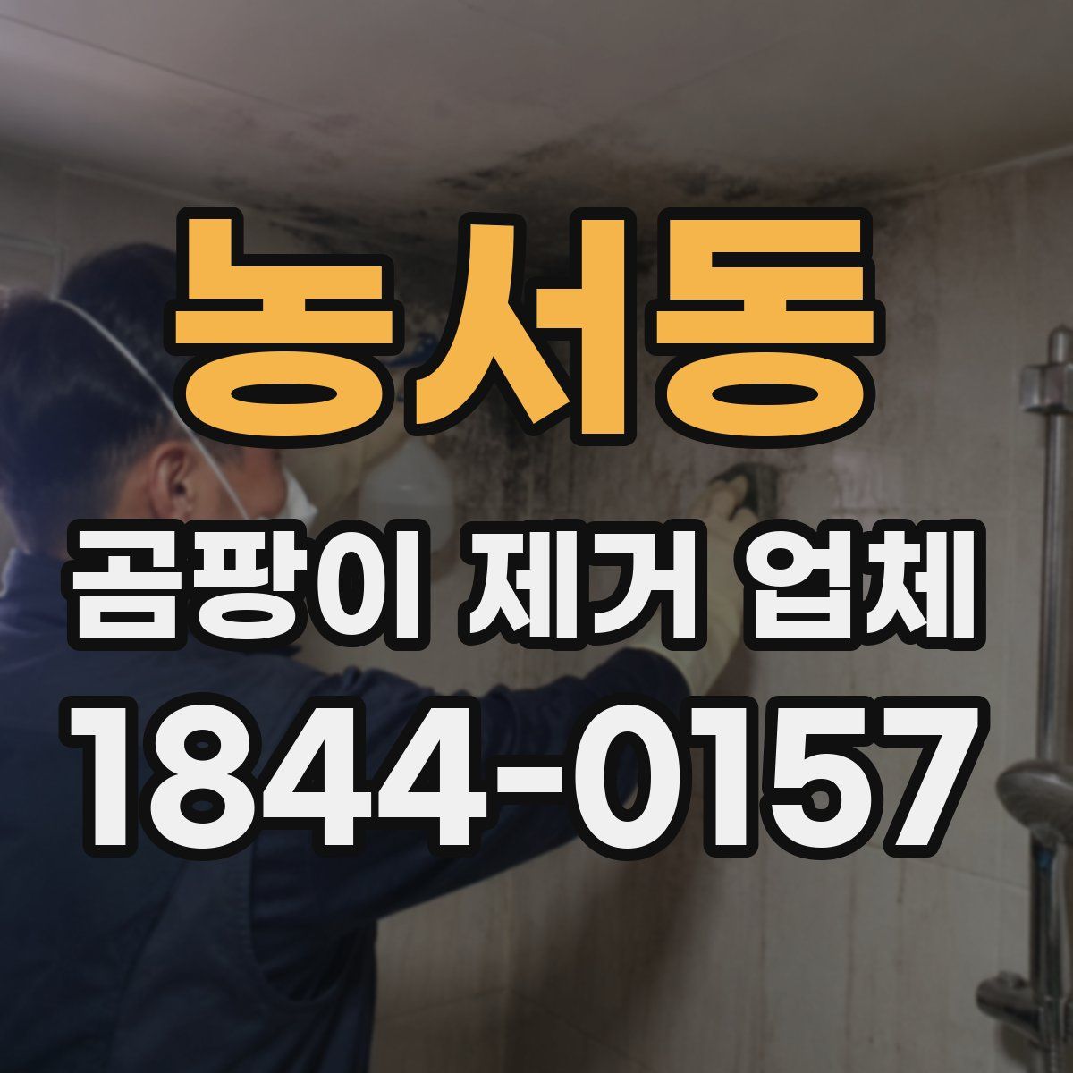 농서동 곰팡이 제거 업체