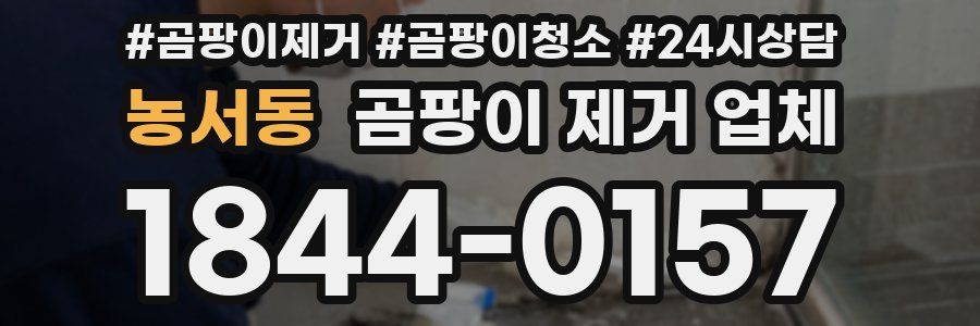 농서동 곰팡이 제거 업체