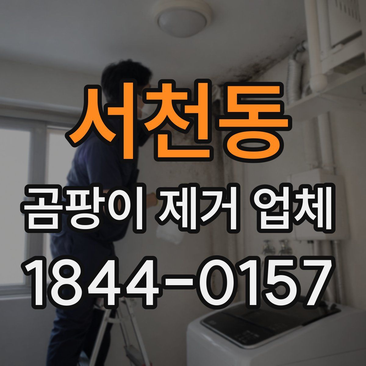 서천동 곰팡이 제거 업체