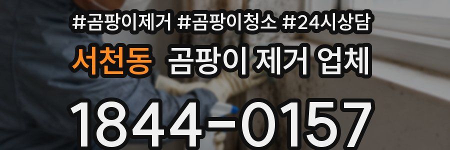 서천동 곰팡이 제거 업체