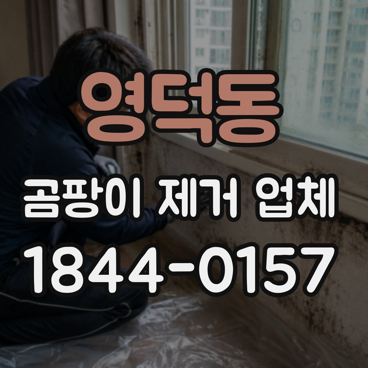 영덕동 곰팡이 제거 업체