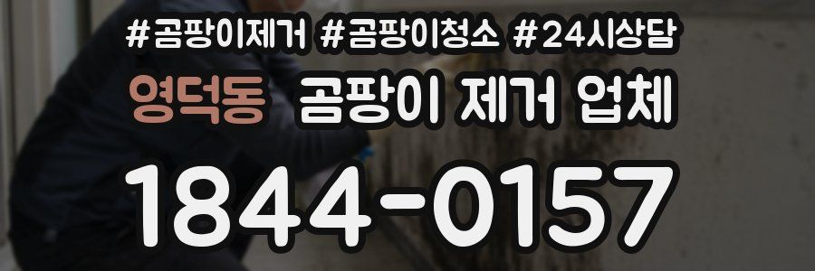 영덕동 곰팡이 제거 업체