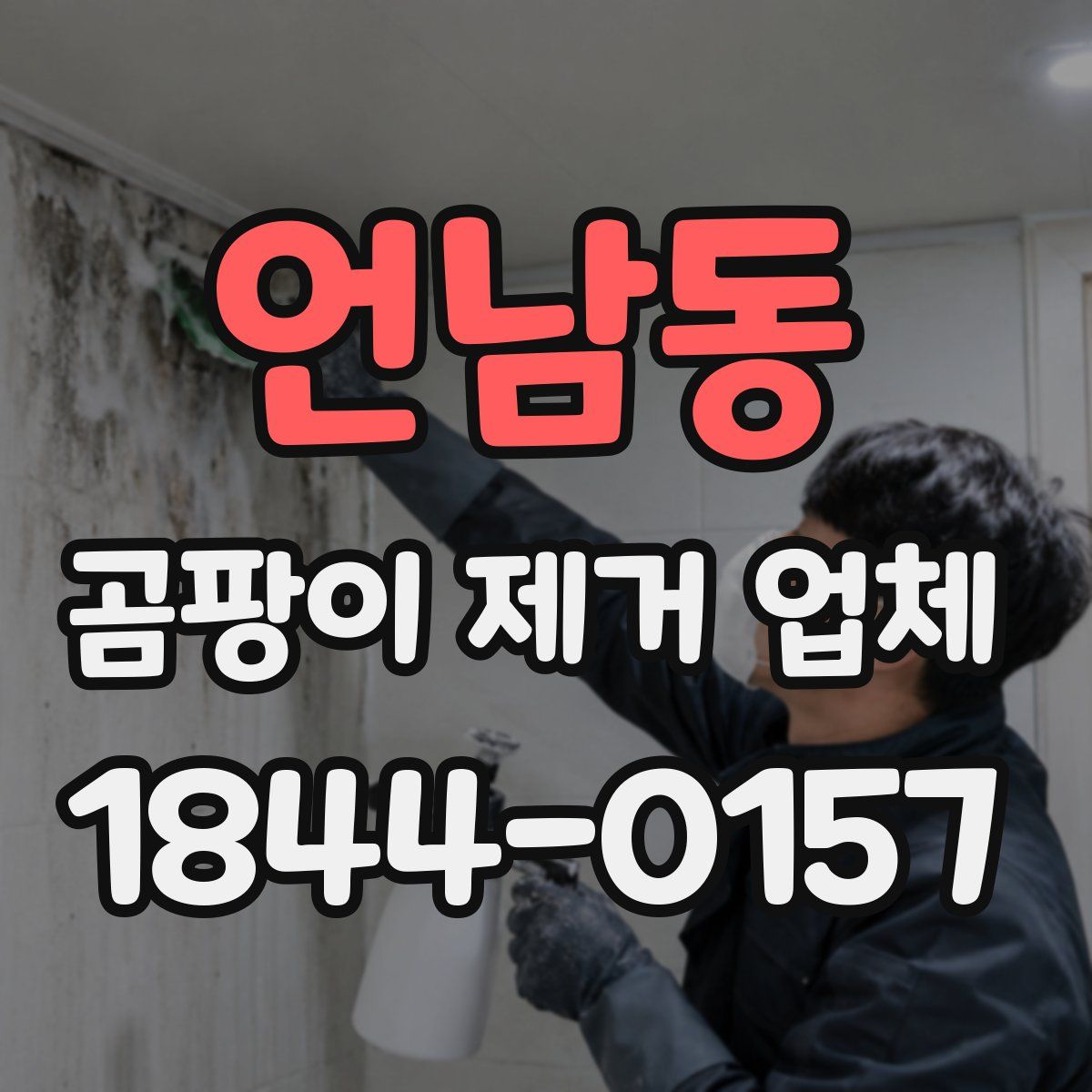 언남동 곰팡이 제거 업체