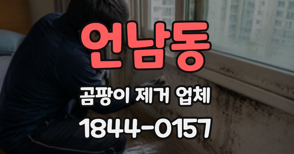 언남동 곰팡이 제거 업체
