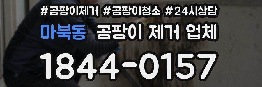 마북동 곰팡이 제거 업체