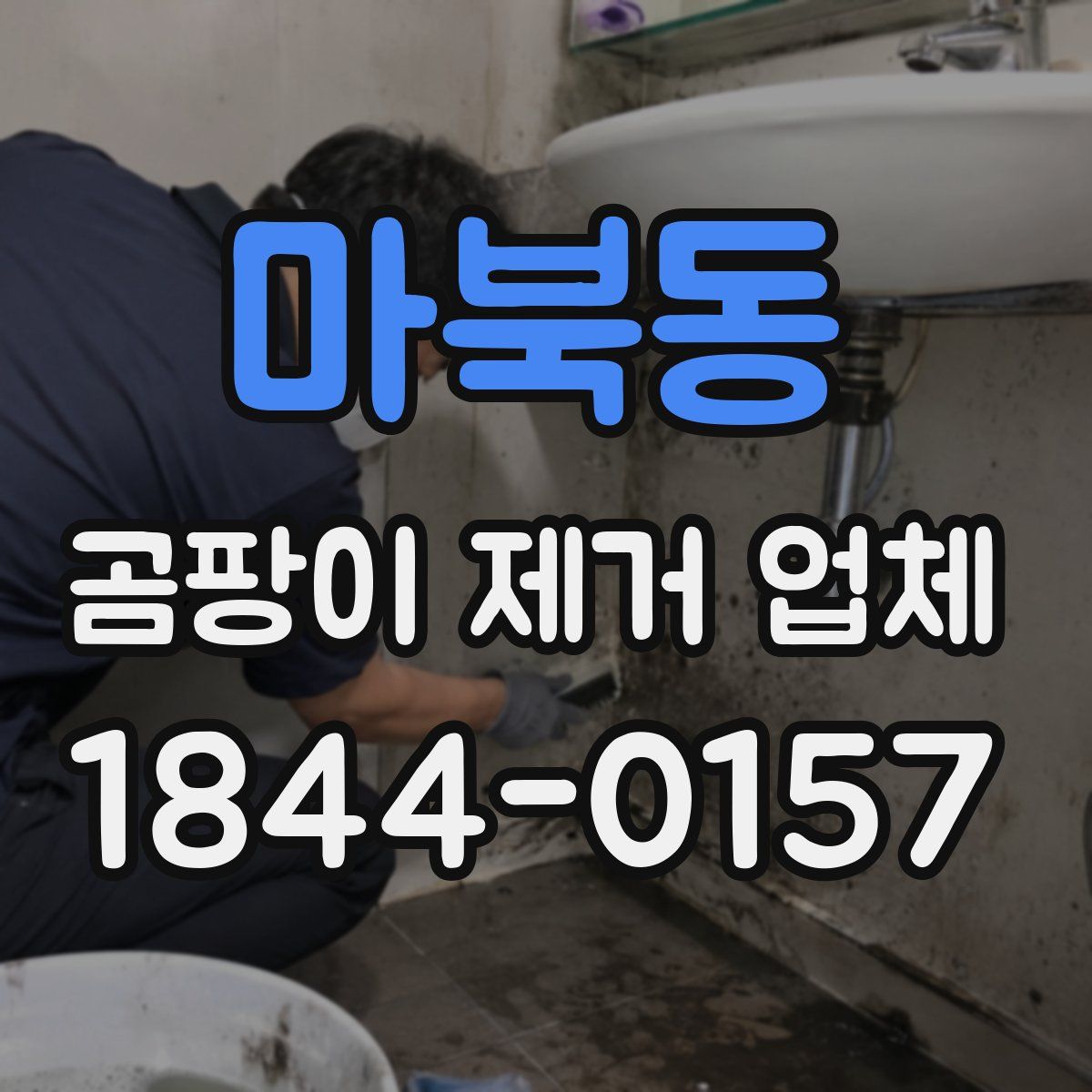 마북동 곰팡이 제거 업체