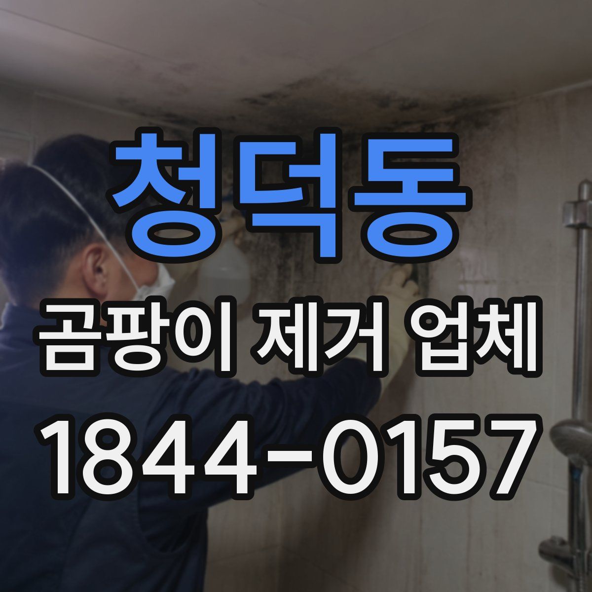 청덕동 곰팡이 제거 업체