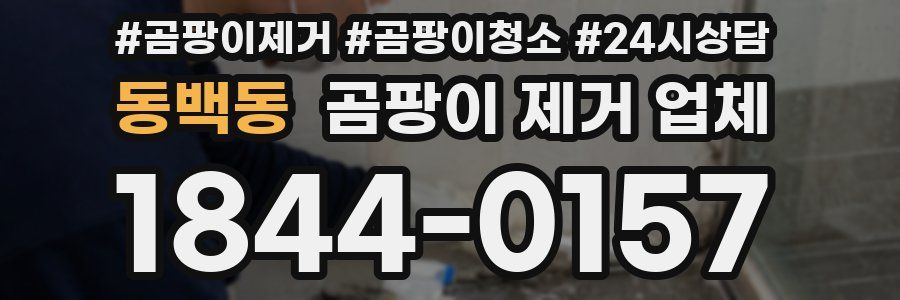 동백동 곰팡이 제거 업체