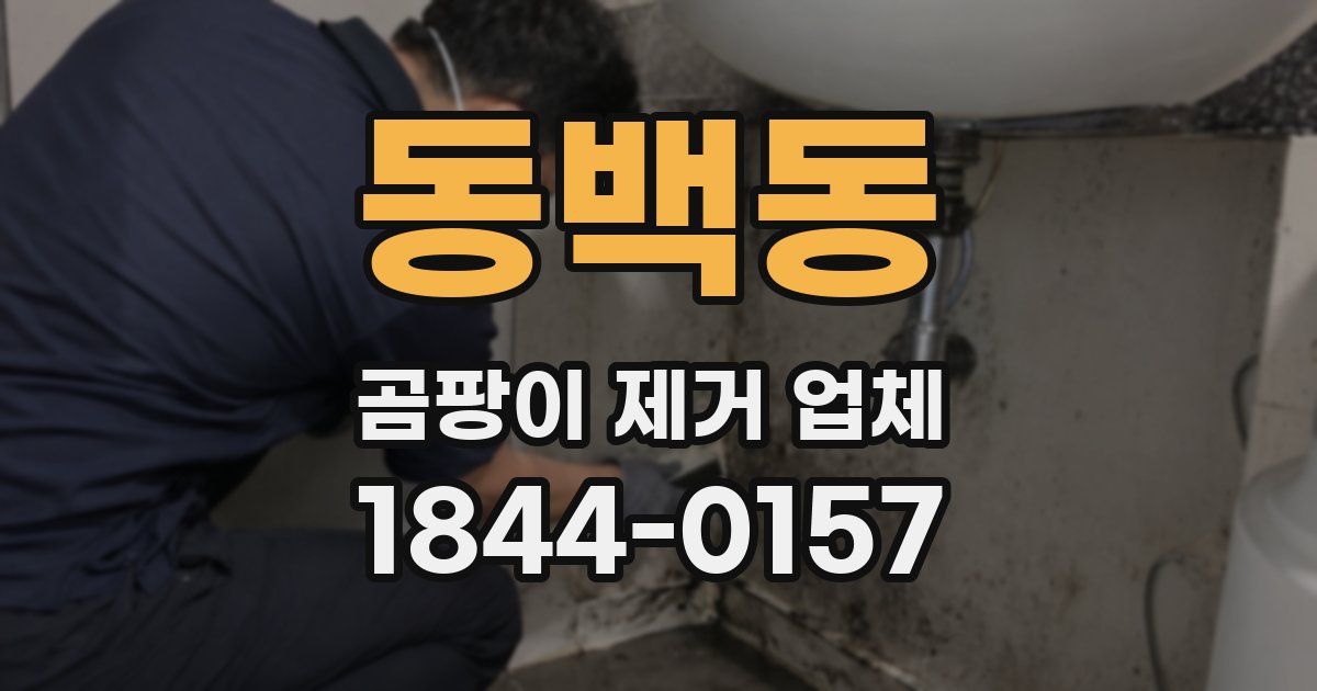 동백동 곰팡이 제거 업체
