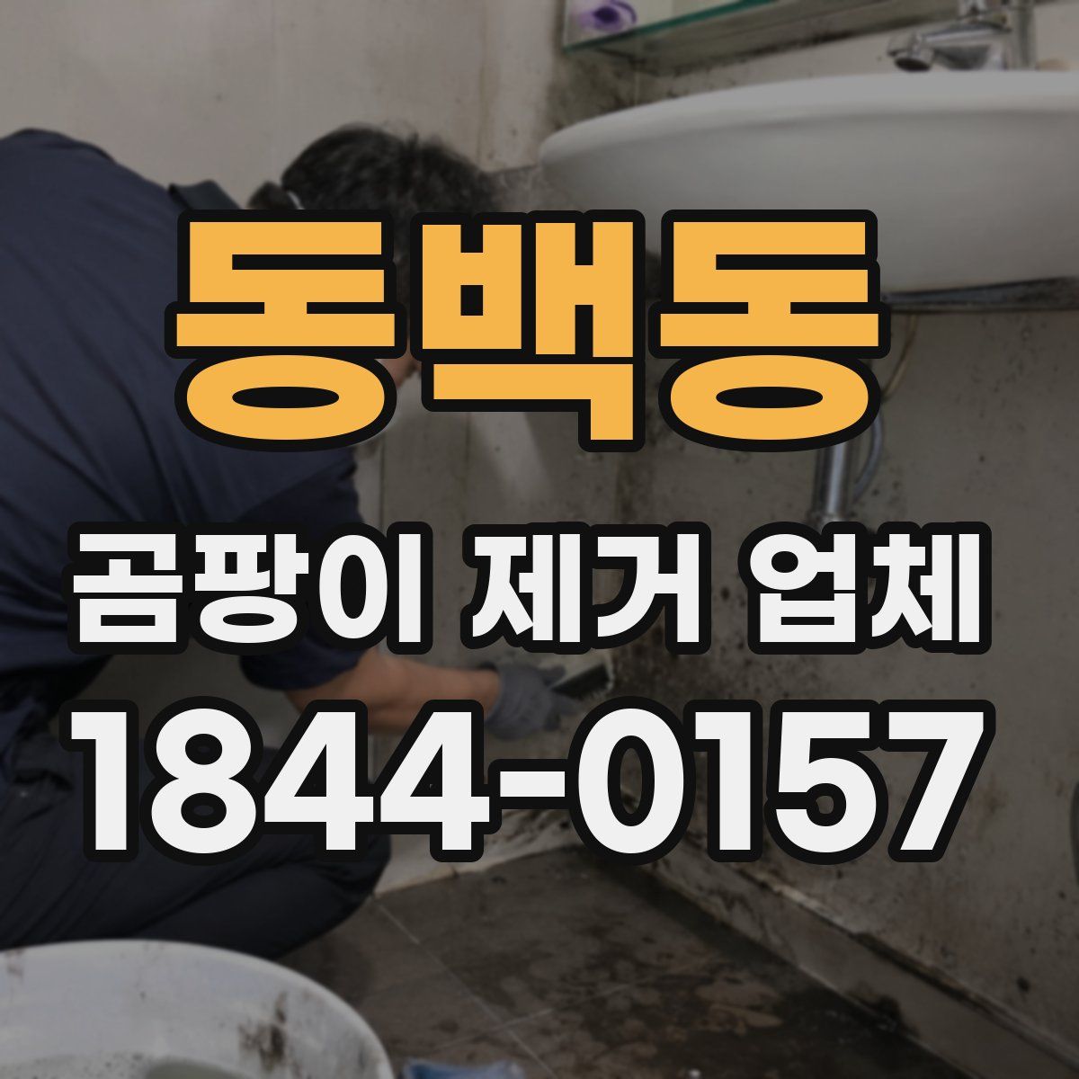 동백동 곰팡이 제거 업체