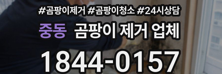 중동 곰팡이 제거 업체