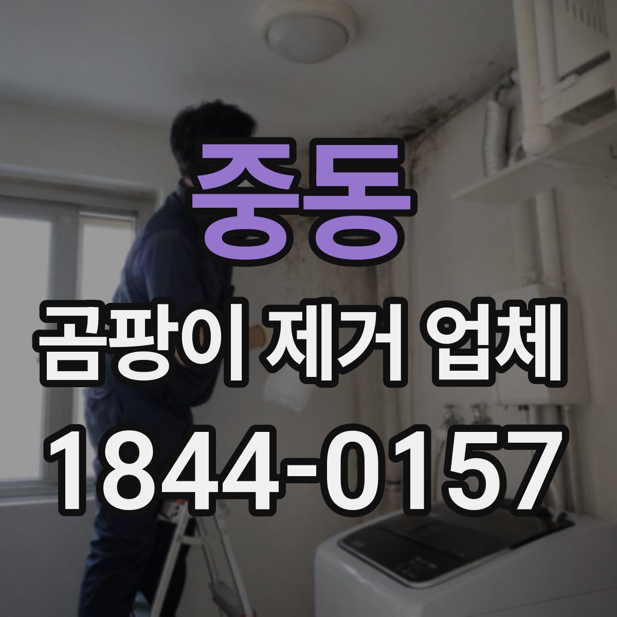 중동 곰팡이 제거 업체