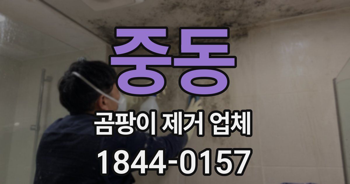 중동 곰팡이 제거 업체