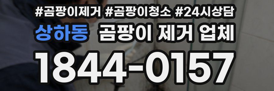 상하동 곰팡이 제거 업체