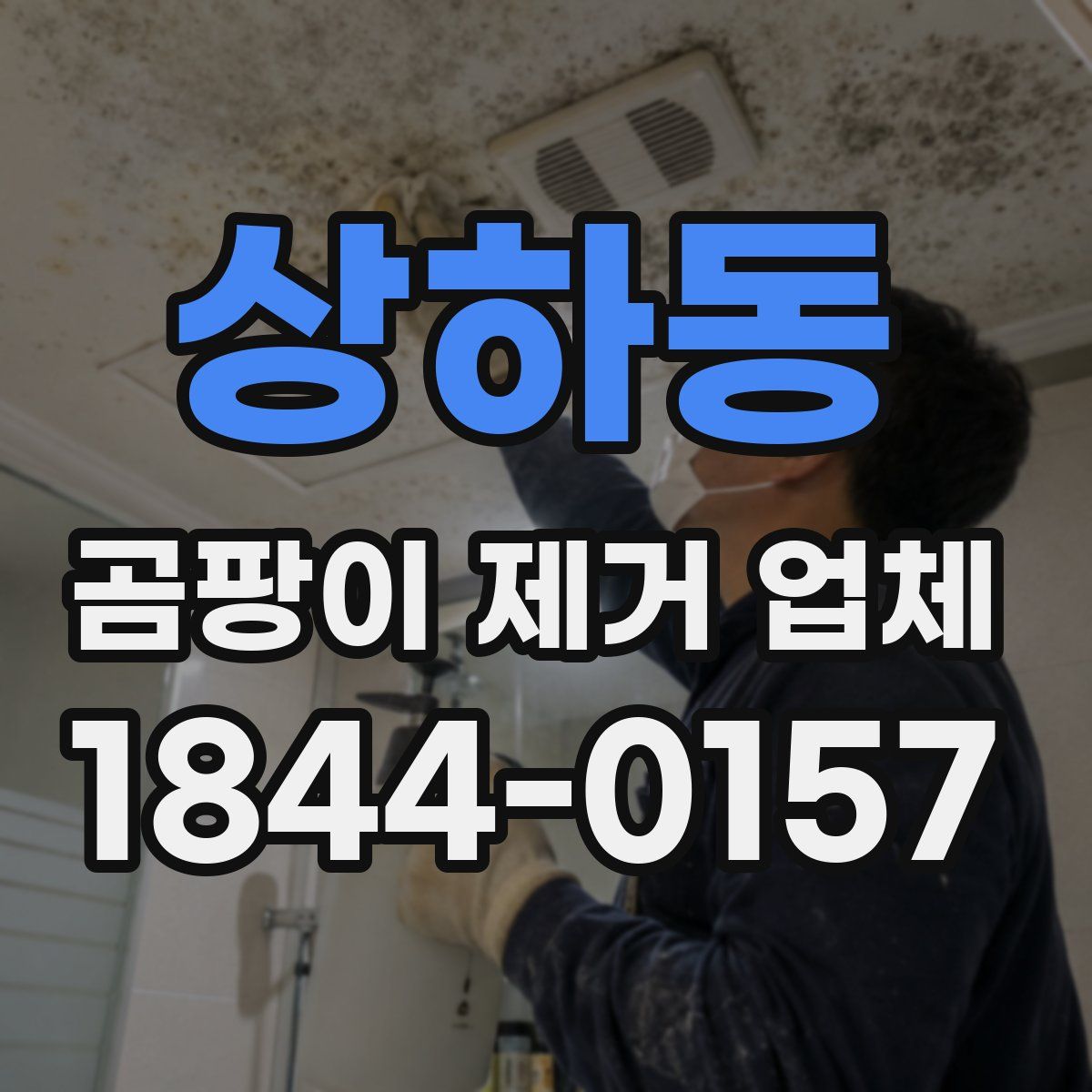 상하동 곰팡이 제거 업체