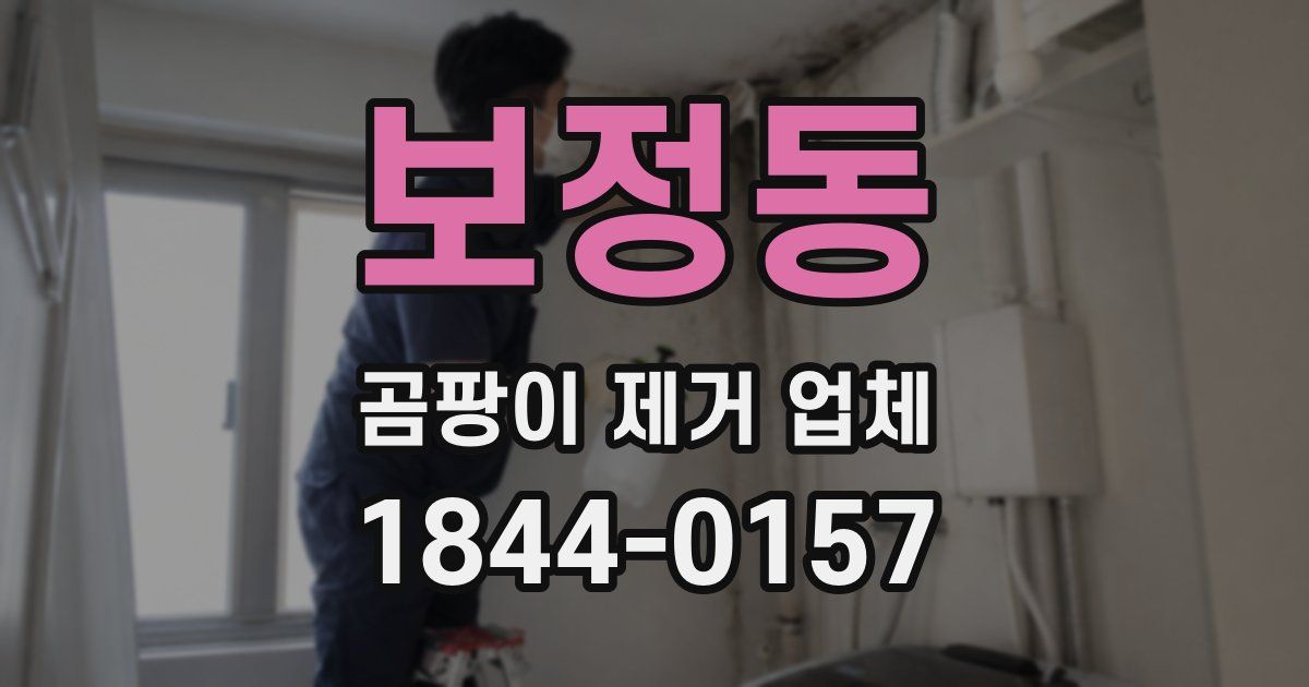 보정동 곰팡이 제거 업체