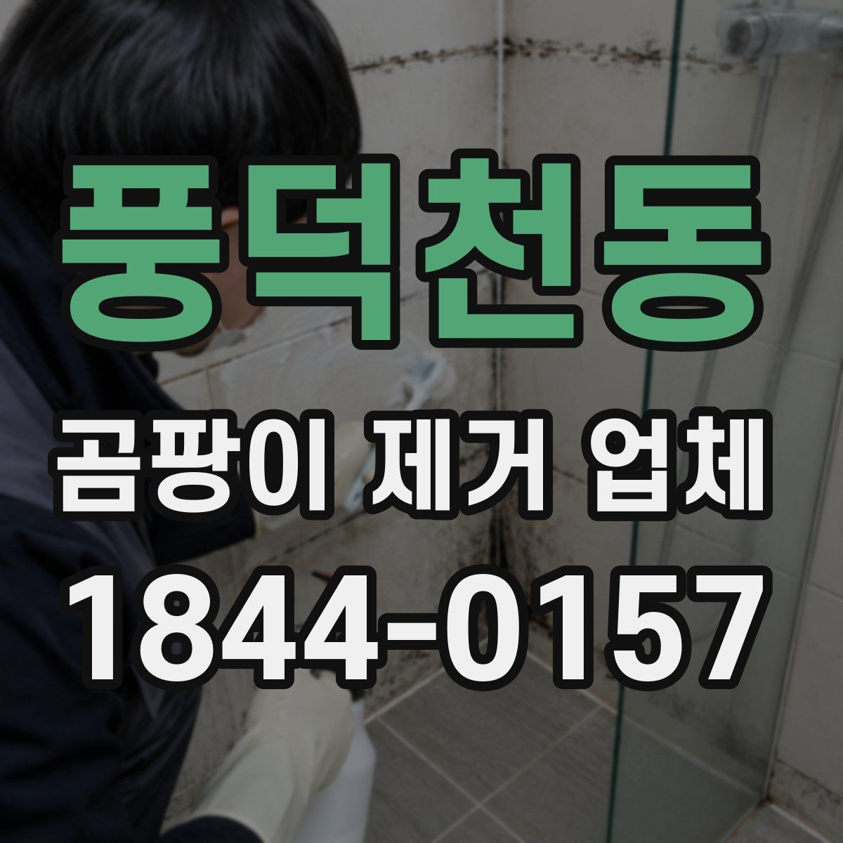 풍덕천동 곰팡이 제거 업체