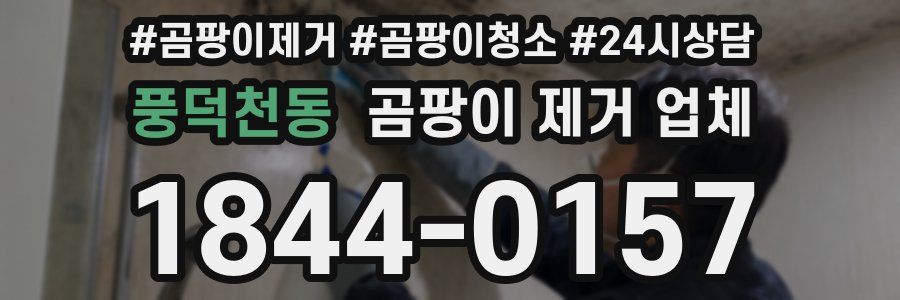 풍덕천동 곰팡이 제거 업체