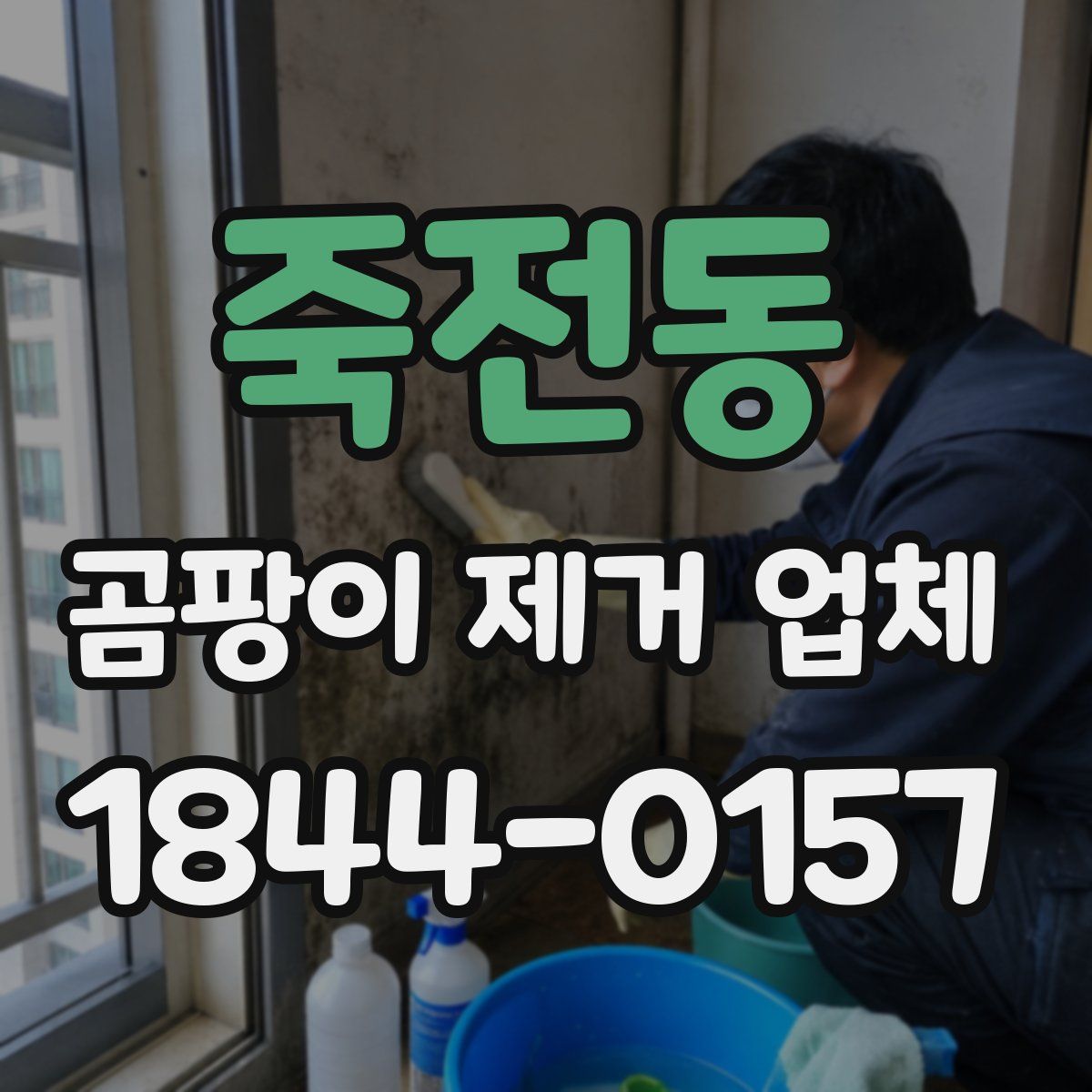 죽전동 곰팡이 제거 업체