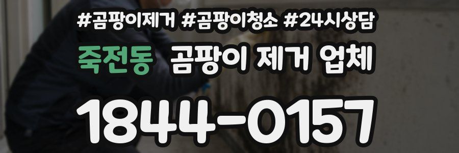 죽전동 곰팡이 제거 업체