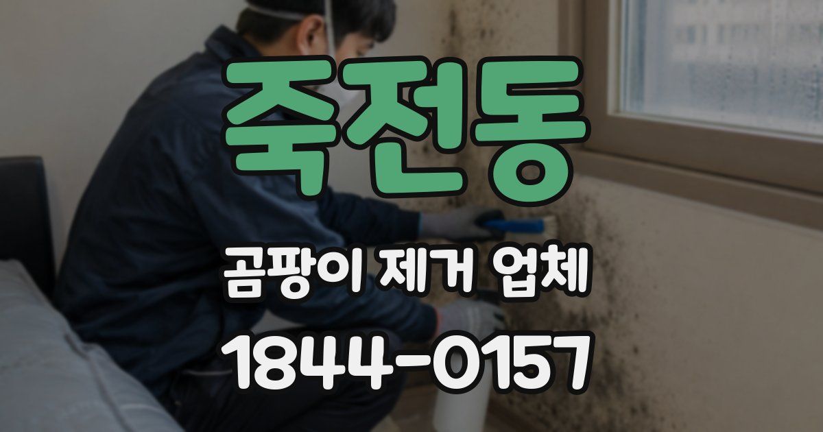죽전동 곰팡이 제거 업체