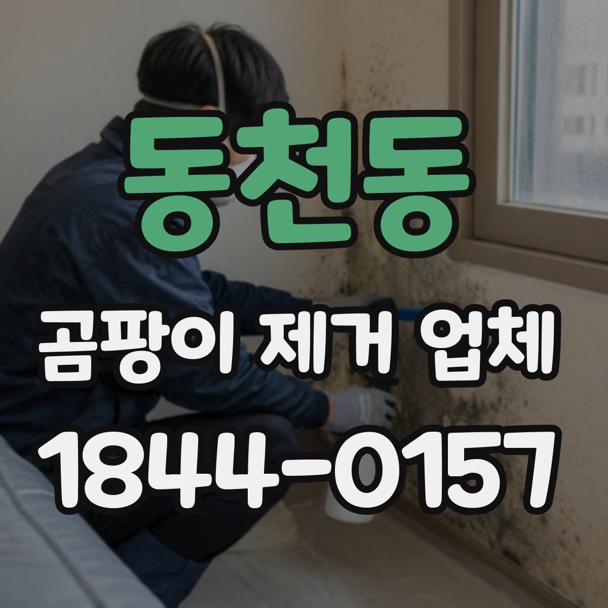 동천동 곰팡이 제거 업체