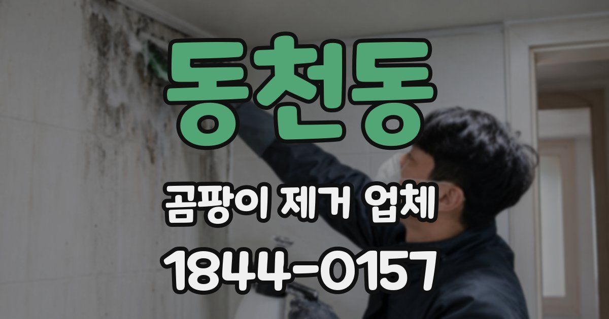 동천동 곰팡이 제거 업체
