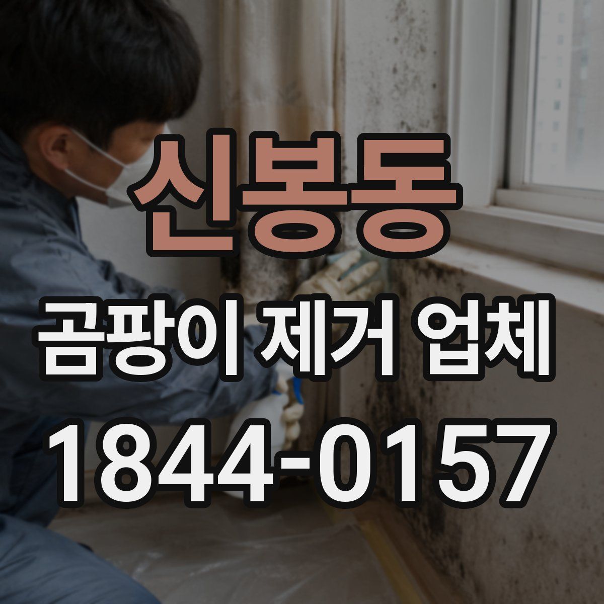 신봉동 곰팡이 제거 업체